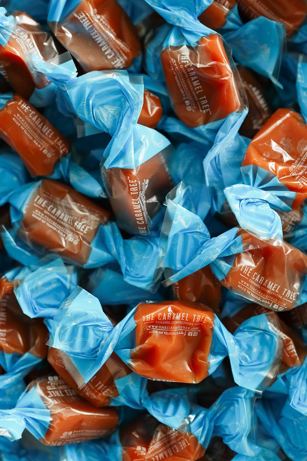 Sea Salt Caramel Pouch 7.6oz - The Caramel Tree